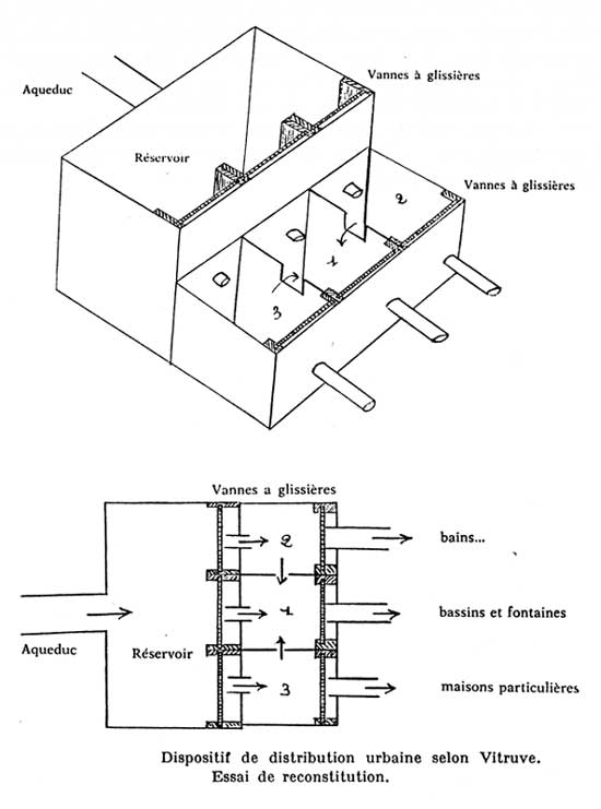 Vitruve figure