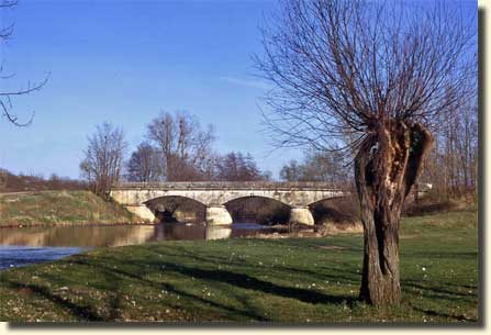 Pont
